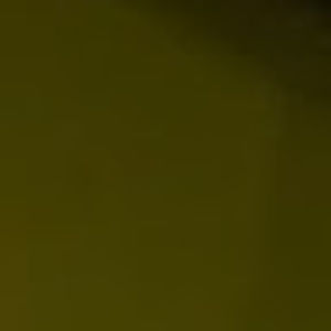 Meet your Posher, Sienna